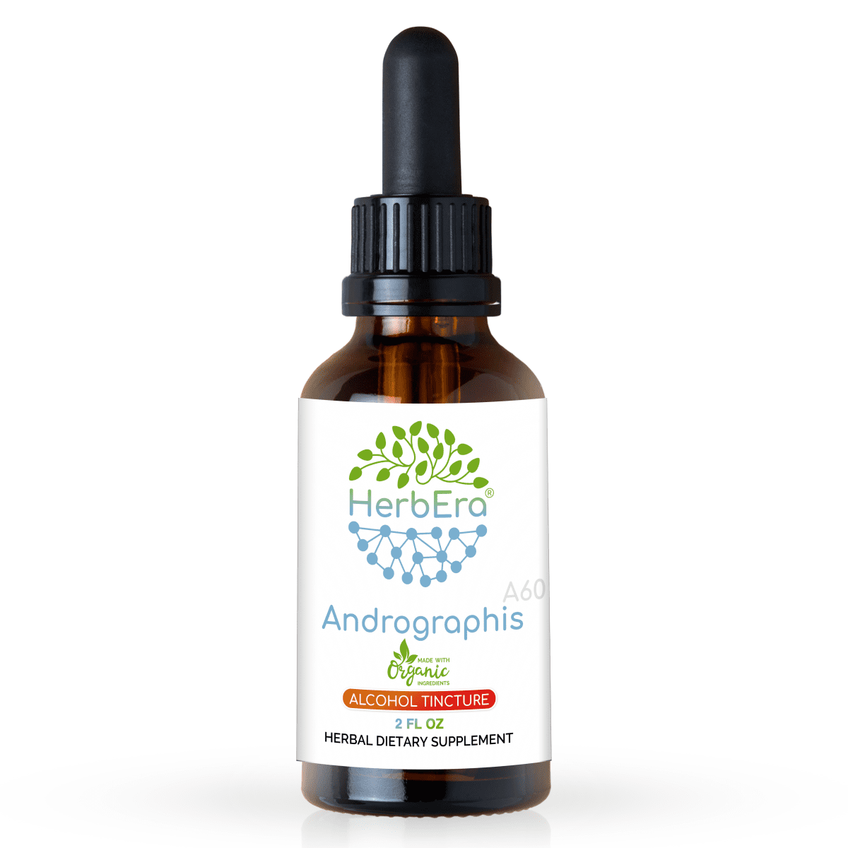 Echinacea Angustifolia Alcohol-FREE Herbal Extract Tincture,  Super-Concentrated Responsibly farmed organic Echinacea (Echinacea  Angustifolia) Dried Root 2 oz - Walmart.com