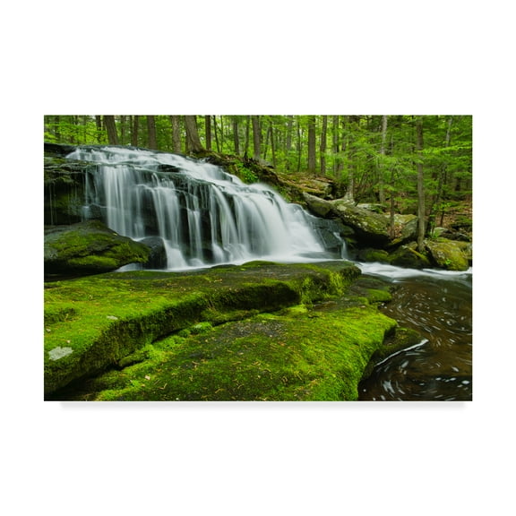 Trademark Fine Art 'Spring At Tucker Brook' Canvas Art by Michael Blanchette Photography