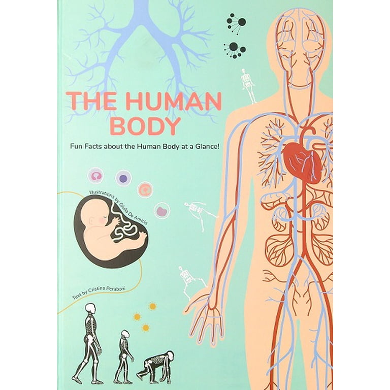 Cool Facts About The Human Body