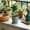 Mint Green, variant on SHJHENG Geometric Verticals Ribbed Plastic Plants Pot With Drainage Tray Modern Faceted Planter Indoor Decor Flower Pot For Succulents Houseplants
