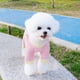 thumbnail image 4 of Ranphy Cool Pet Dirt Dog Pants Para Perros Extrapequeños Y Pequeños. Mono Sin Espalda Para Cachorros, Transpirable, Para Yorkshire Y Chihuahua. Ropa De Verano Para Gatos., 4 of 6