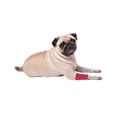 thumbnail image 3 of EquiMed Vetwrap Pansements Cohésifs, 3 of 3