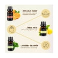 thumbnail image 2 of Kit de 6 aceites esenciales Belug, 2 of 5