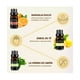 thumbnail image 2 of Kit de 6 aceites esenciales Belug, 2 of 5