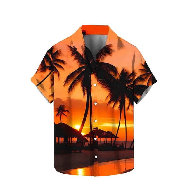 Chemises pour Hommes Imprimé Col Rabattu Chemise Manches Courtes Col Rond Haut/chemise