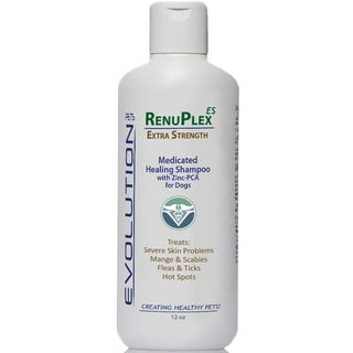 Sarcoptic mange best sale shampoo