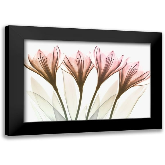 Koetsier, Albert 14x11 Black Modern Framed Museum Art Print Titled - Dazzling Tulips