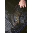 thumbnail image 2 of Plano Molding Frabill 9859 Conservation Net, 2 of 2