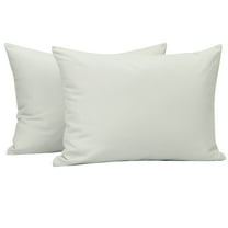 Ntbay 2 Pack Microfiber Toddler Pillowcases, Ultra Soft Travel Pillow Covers with Zipper Closure, 13" x 18", Light Gray