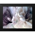 thumbnail image 2 of Pollard, David 14x12 Black Modern Framed Museum Art Print Titled - Chrysanthemum X, 2 of 5