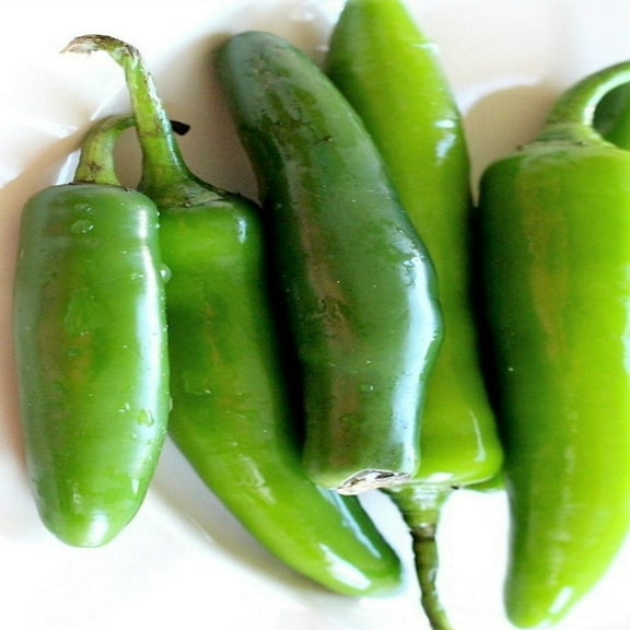 Serrono Tampiqueno Hot Pepper Seeds