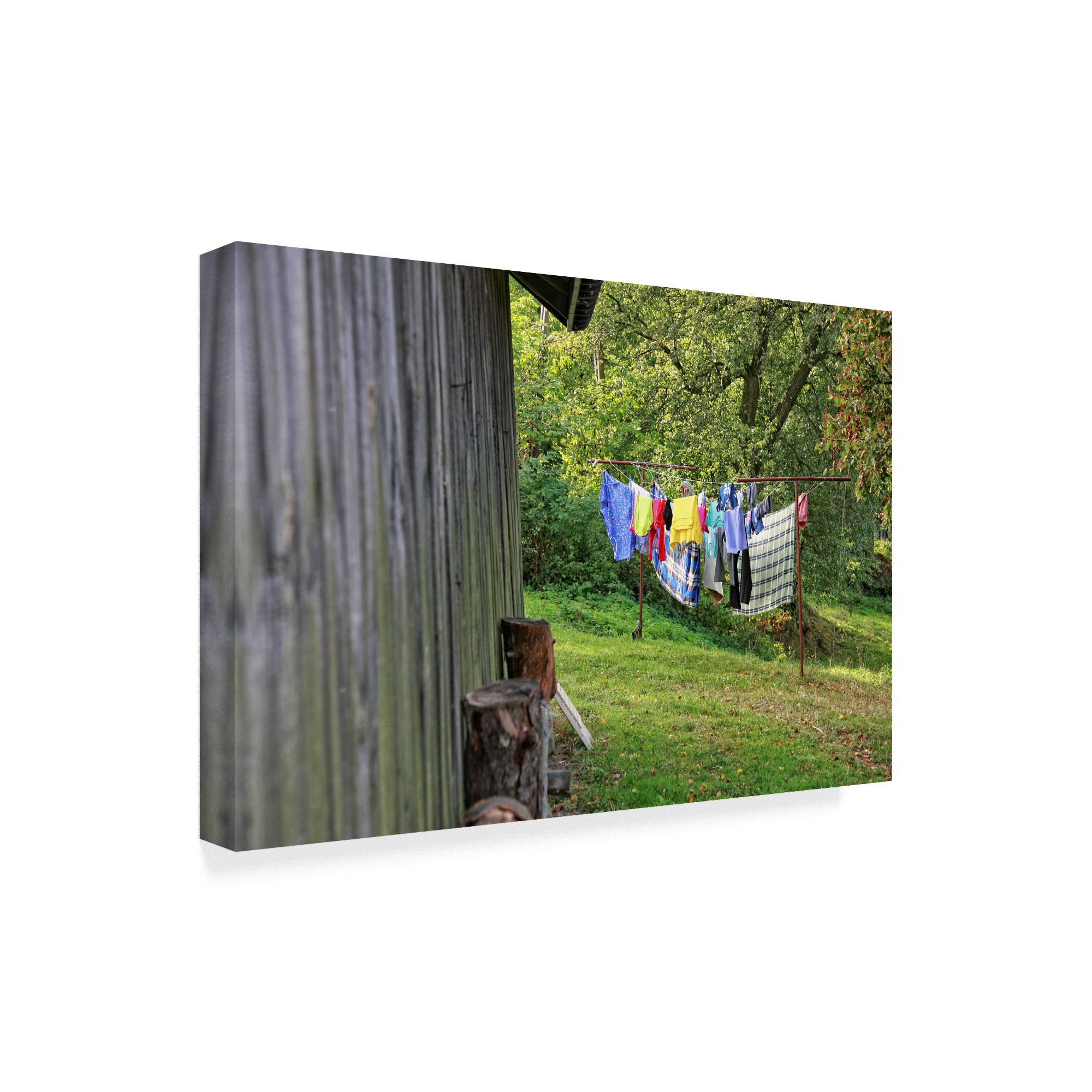 Trademark Fine Art 'Laundry Day' Canvas Art by Incredi