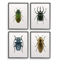 Stupell Industries Colorful Insect Collection Photographs Graphic Art Black Framed Art Print Wall Art Set of 4, 11x14, by Design Fabrikken
