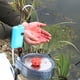 thumbnail image 5 of Bomba de oxígeno portátil para pesca, carga USB, iluminación LED de inducción automática para exteriores Tmvgtek Para estrenar, 5 of 7