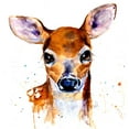 thumbnail image 2 of Art by Leslie Franklin 26x26 White Modern Wood Framed Museum Art Print Titled - Nursery Fawn, 2 of 4