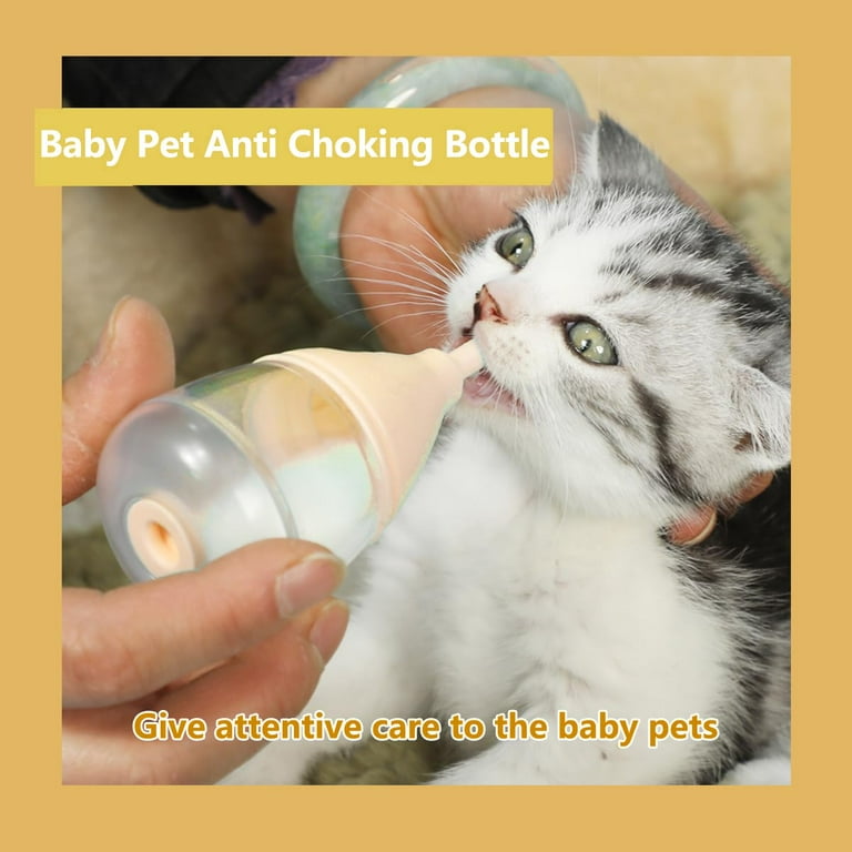 Take Care How Long Do Kittens Need Bottle Fed Bottle Feeding