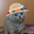 thumbnail image 4 of KAKOWELY Dog Cooling Hat Multi Plush Ball Pet Hat for Daily Use 1 Pcs, 4 of 8