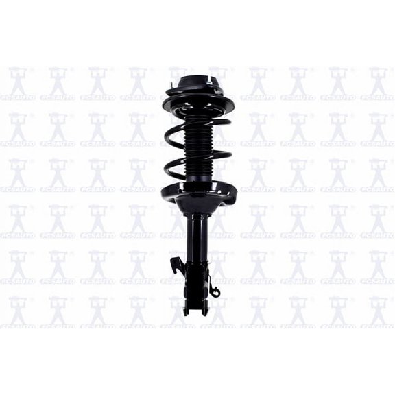Suspension Strut and Coil Spring Assembly