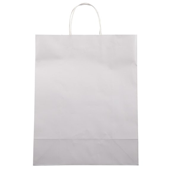 12 Pack: Glossy White Gift Bag by Celebrate It™