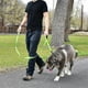 thumbnail image 2 of Pet Gear Correa para perros Correas de entrenamiento de seguridad con dos asas acolchadas de 1,5 m de largo, 2 of 4
