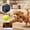 Black-3, variant on WiFi Smart Security Camera Indoor Outdoor, 480P HD Night Vision, 2-Way Audio, Motion Detection with AI Alert, Cloud/SD Storage, App Control
