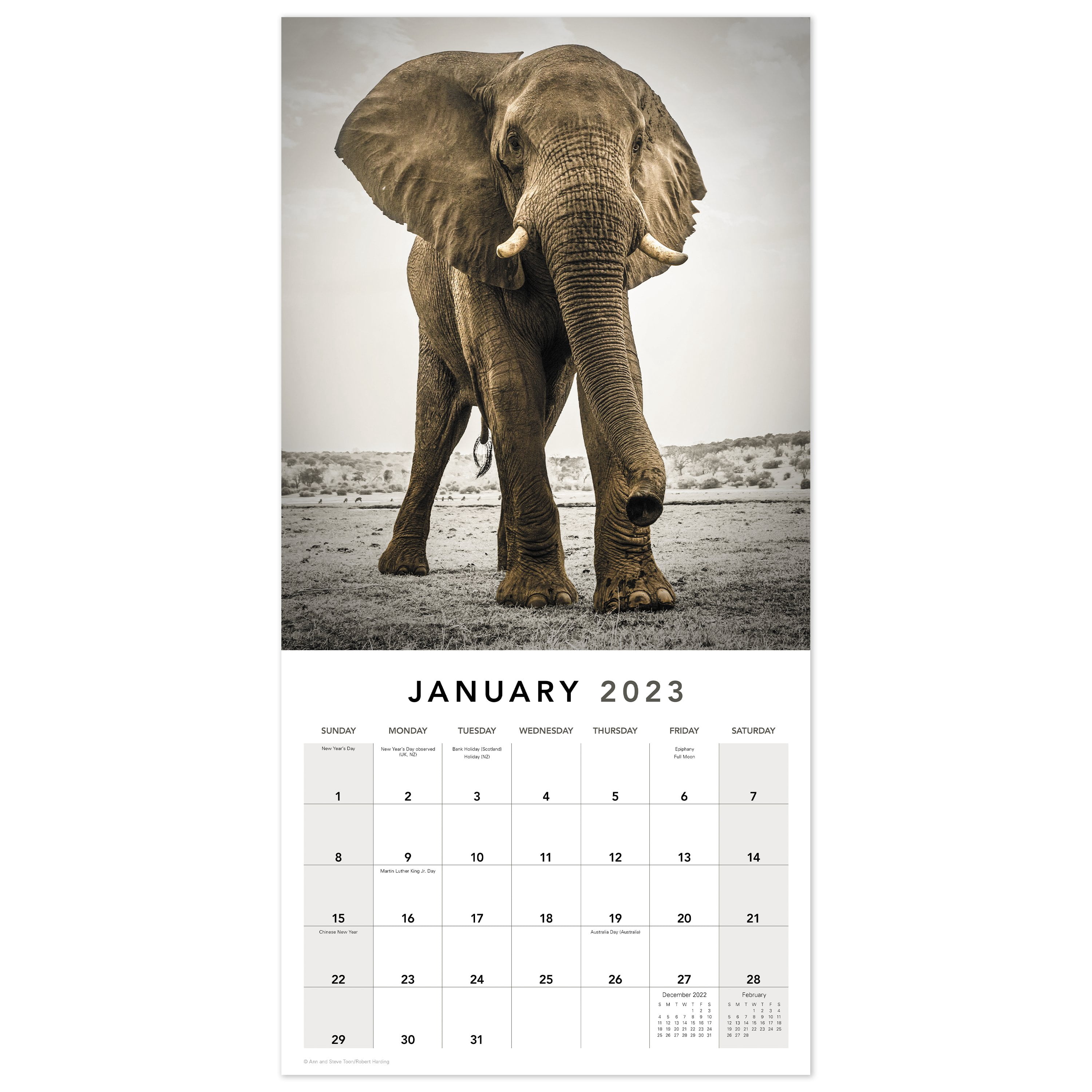 2023 Wall Calendar, Extraordinary Earth, 12" x 12" by Mead (WMET1810-23)