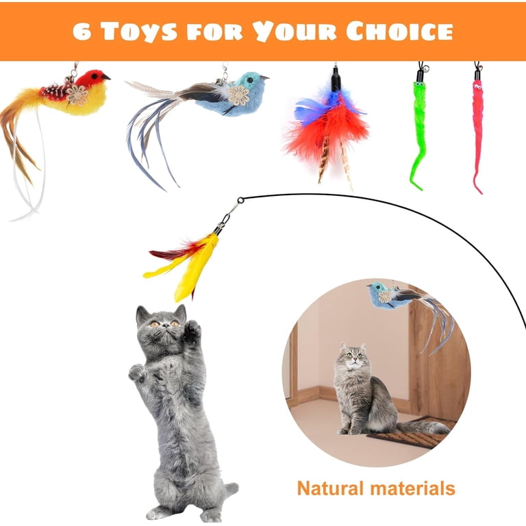 Qoosea Interactive Cat Feather Toys, 10-Piece Set photo 5