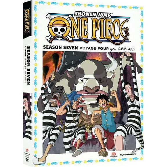 One Piece: Season Seven, Voyage Four (DVD)