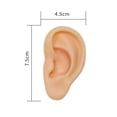 thumbnail image 1 of Silicone Ear Nose Tongue Belly Button Piercing Model For Training Photography Display Teaching Equipment, 1 of 6