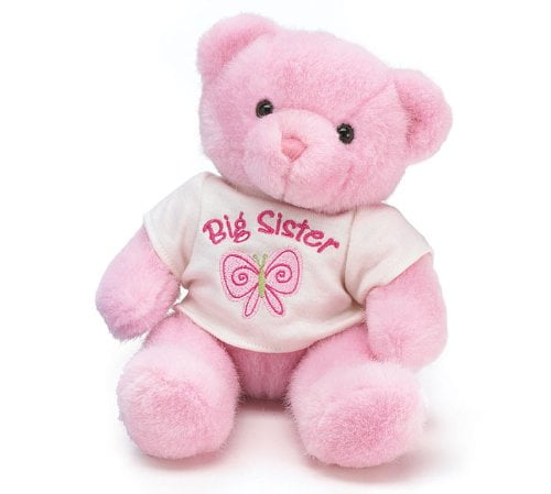 sister teddy bear