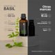thumbnail image 2 of Aceite Esencial De Albahaca | 50 ml | Ingredientes Puros y Naturales | Essential Oil Basil | B Life., 2 of 6