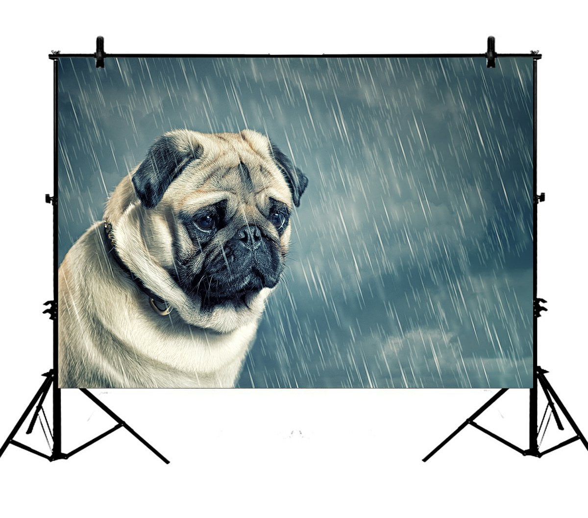 Pug 10x12 FT Backdrop Photographers,Detailed Portrait Drawing of a Dog Realistic Design of The Pet Animal Digital Art Background for Child Baby Shower Photo Vinyl Studio Prop Photobooth Photoshoot