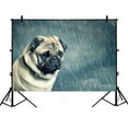 thumbnail image 1 of BSDHOME Décors Motif Animal 7x5ft, Décors de Photographie Chiens Tristes sous la Pluie en Polyester Accessoires de Studio, 1 of 3