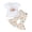 AB306 White, variant on Tisuna Toddler Girls Easter Clothing Set Rabbit Ear Print Short Sleeve Tops Floral Print Flare Leg Pants Fashion Casual Girls Festival 2 Pieces Outfit Set Size 18-24 Months