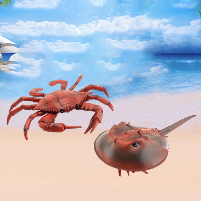 Sea Life Animal Models Juguetes educativos Adornos de juguetes cognitivos de año de acción de ción ños Bebés 2 piezas rojo CUTICAT Vida marina simulada
