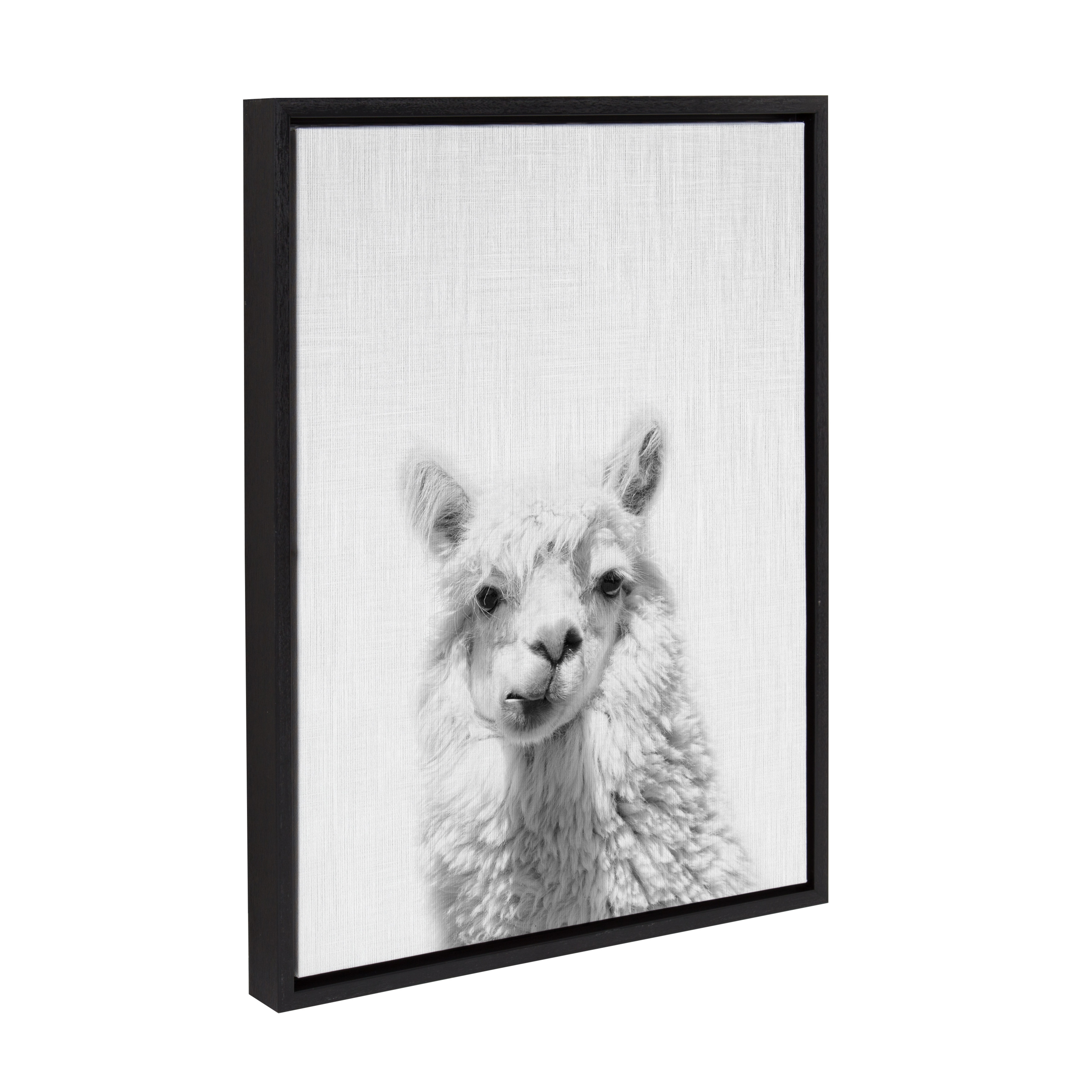 Kate and Laurel Sylvie Alpaca Black and White Portrait Framed Canvas Wall Art by Simon Te Tai, 18x24 Black