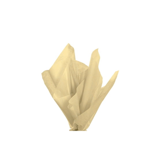 20 x 30 inch Kraft Tissue Paper - 120 Sheets