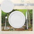 thumbnail image 3 of Ambesonne Scenery Place Mats Set of 4, Spring Waterfall Nature, Standard Size, Green and White, 3 of 6