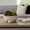 White, variant on Footed Decorative Bowl for Living Room Décor - Multipurpose Accent Bowl for Coffee Table, Kitchen Counter, and Dining Room - 5", Brown