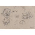 thumbnail image 2 of Rosa Bonheur 14x11 Black Ornate Wood Framed Double Matted Museum Art Print Titled: Study of Heads of Lions and Lionesses, 2 of 5