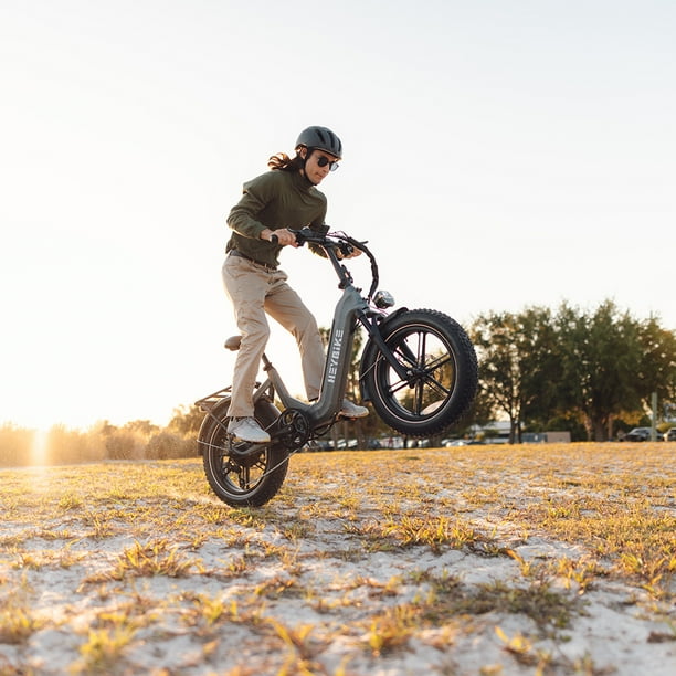 Heybike Ranger S Electric Bike For Adults Foldable 750w Motor Ebike 48v 14.4ah Removable Battery 20 X 4.0 Fat Tire Step Thru Electric Bicycle 7 S