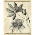 thumbnail image 2 of Sellier 20x24 Gold Ornate Wood Framed with Double Matting Museum Art Print Titled - Passiflora II, 2 of 4