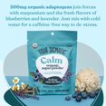 Four Sigmatic Calm Super Powder Organic Superfood Powder with Magnesium