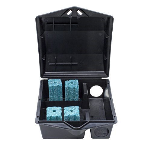 Protecta Bait Station Key