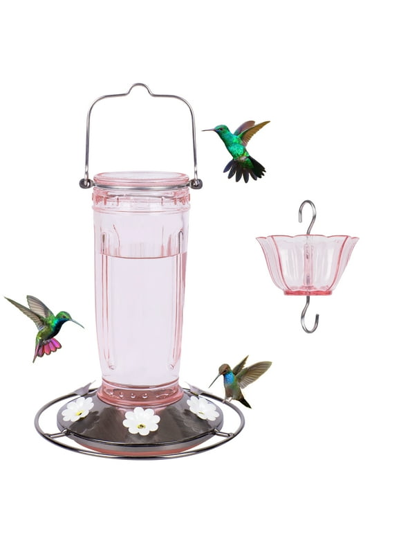 Hummingbird Feeders in Bird Feeders