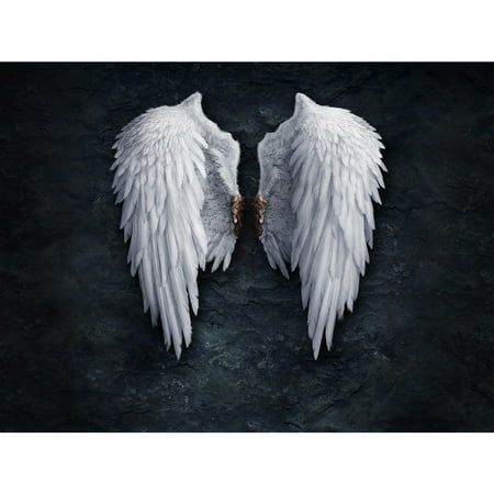 Meigar Unframed Home Decor Black White Angel Wings Print Art Departments
