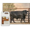 thumbnail image 4 of UltraCruz® Livestock Weight Gain, 1 gallon, 4 of 5