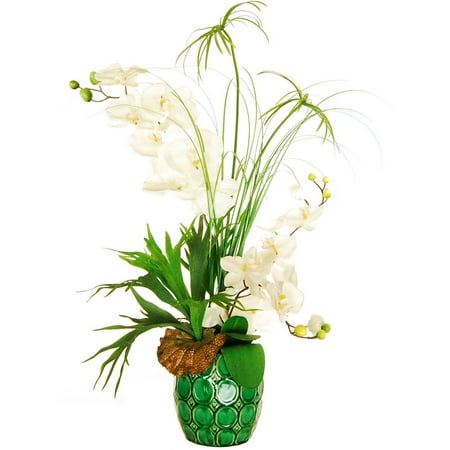 Papyrus Plants - Designs by Lauren 32