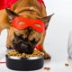 thumbnail image 3 of Cuenco para perros de 42 oz Cuenco de agua y comida para perros de acero inoxidable antiderrames Cuenco de agua para perros de metal antideslizante, 3 of 5