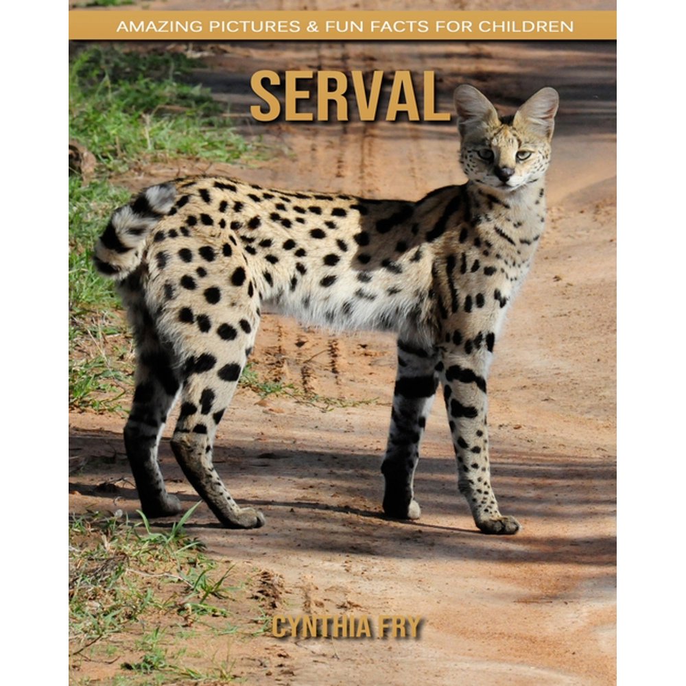 Serval: Amazing Pictures & Fun Facts for Children (Paperback) - Walmart